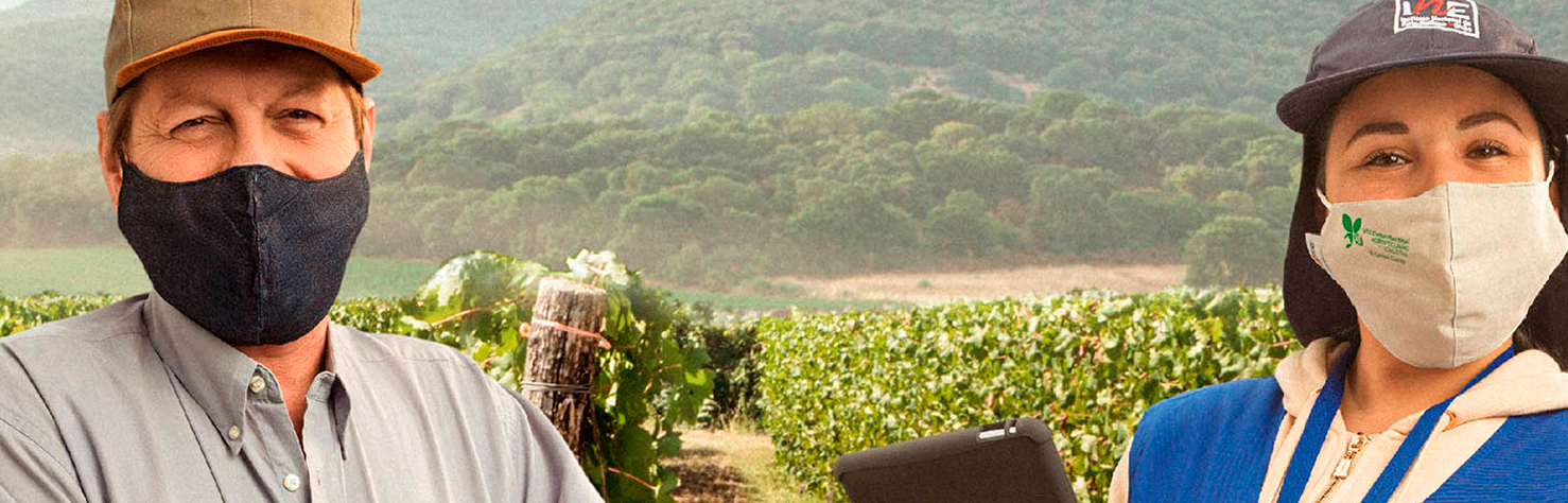 campañas